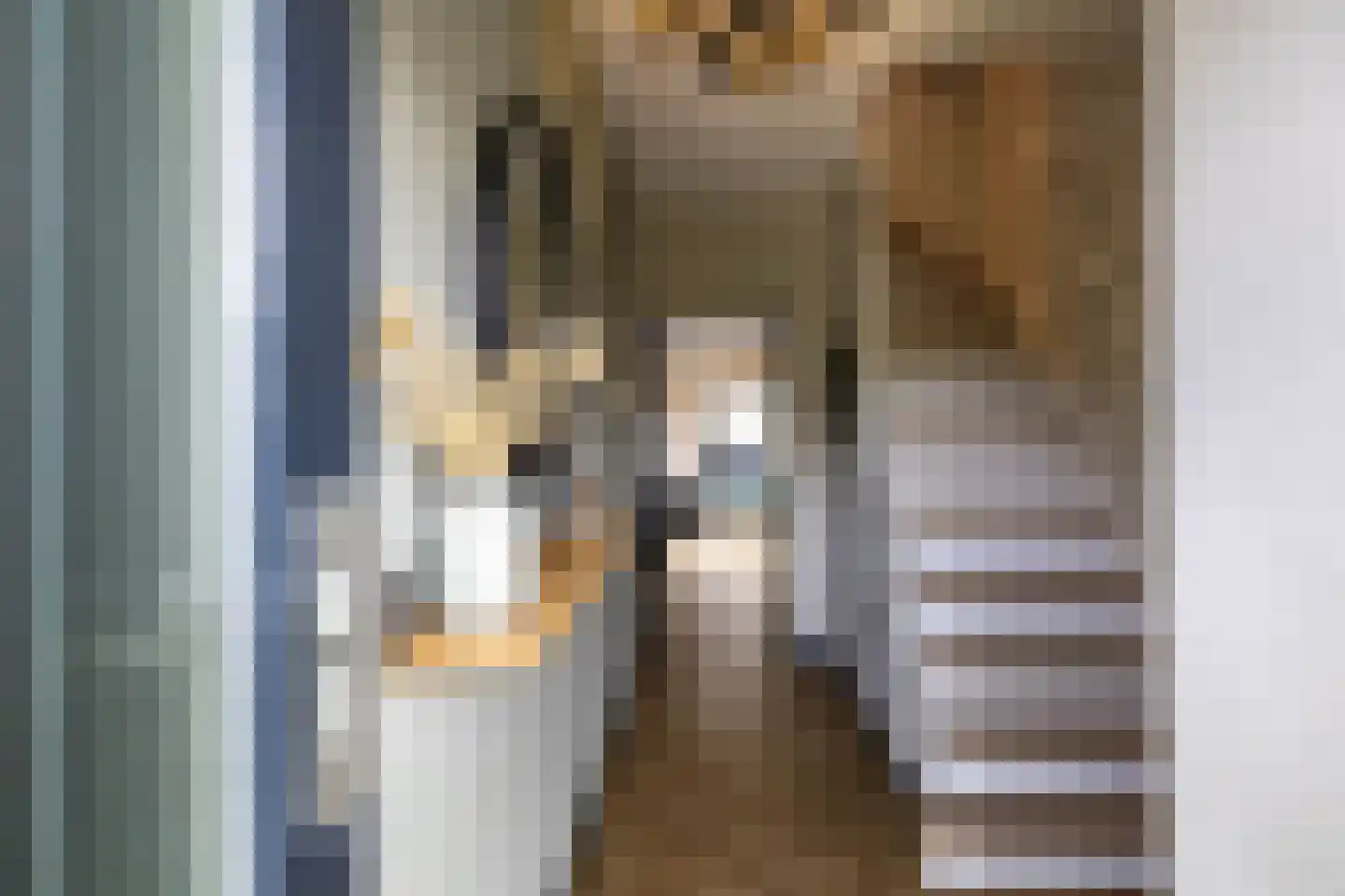 Leenakkersweg 51 Zuidlaren thumbnail 6