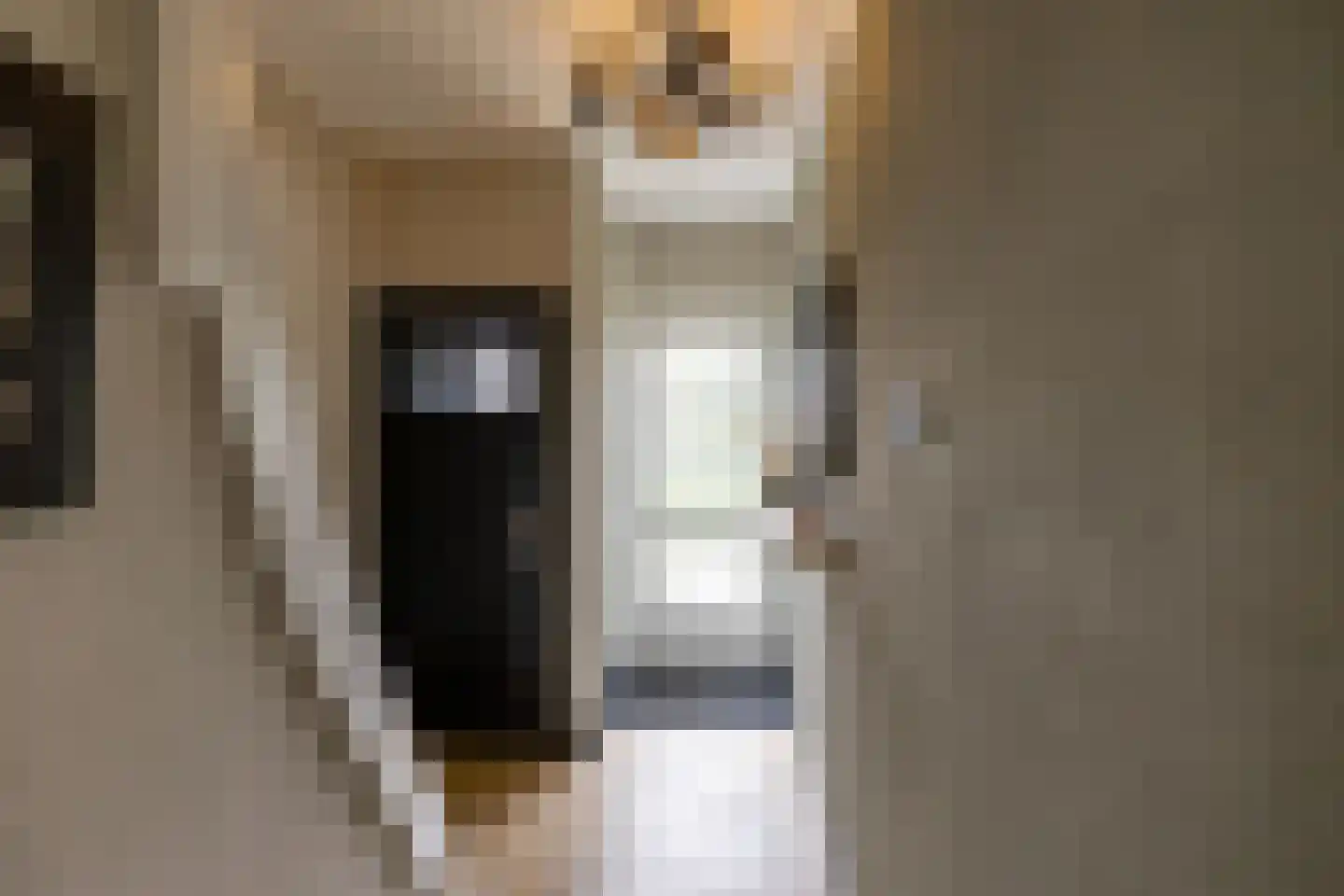 Leenakkersweg 51 Zuidlaren thumbnail 7