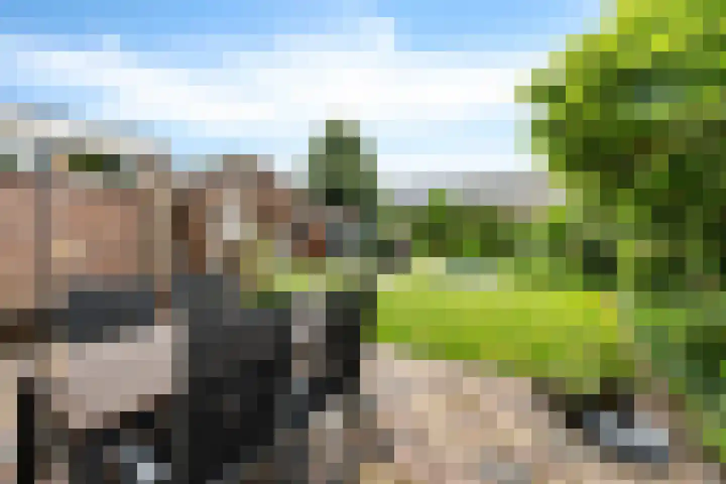 Leenakkersweg 6 Zuidlaren thumbnail 11
