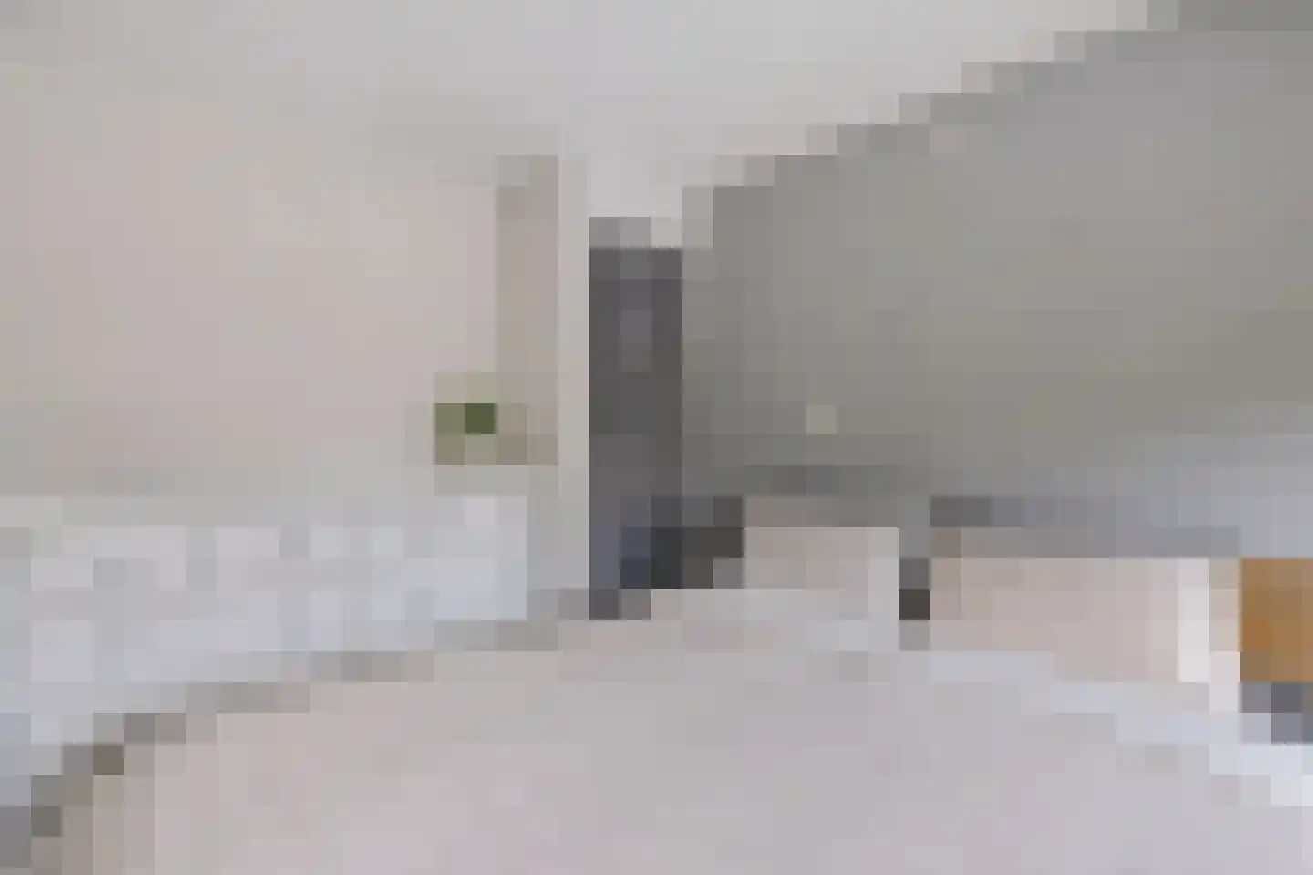 Leenakkersweg 6 Zuidlaren thumbnail 22