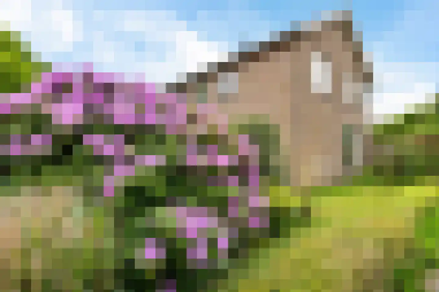 Leenakkersweg 6 Zuidlaren thumbnail 30
