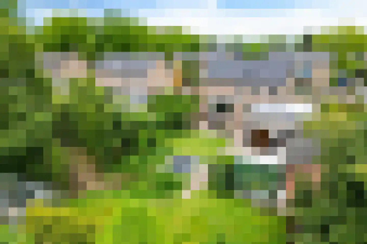 Leenakkersweg 6 Zuidlaren thumbnail 33
