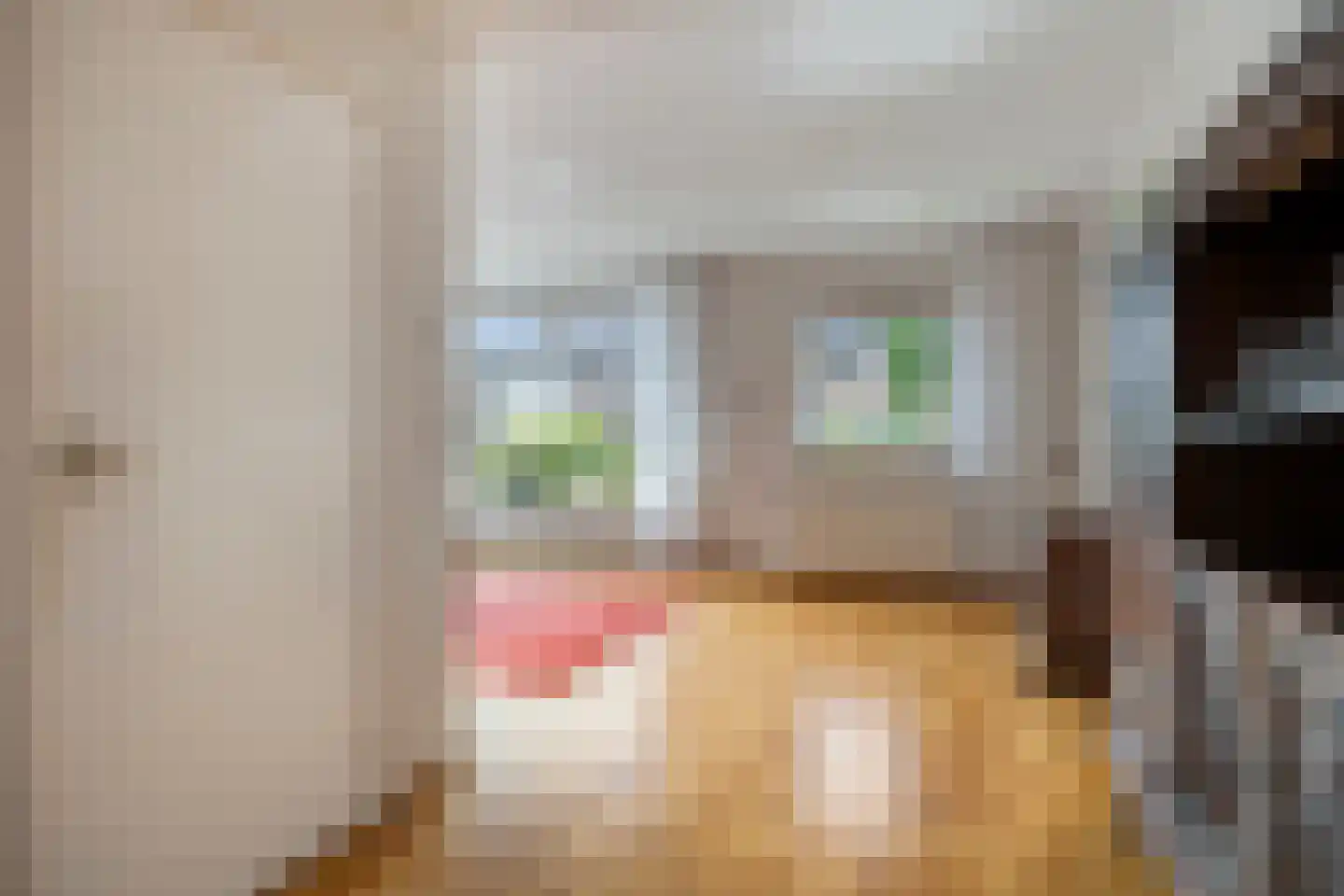 Leenakkersweg 9 Zuidlaren thumbnail 11