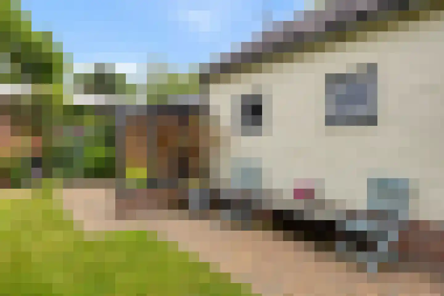 Leenakkersweg 9 Zuidlaren thumbnail 33