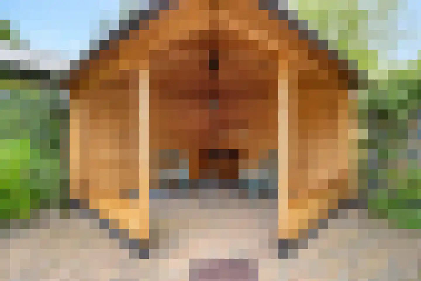 Leenakkersweg 9 Zuidlaren thumbnail 35