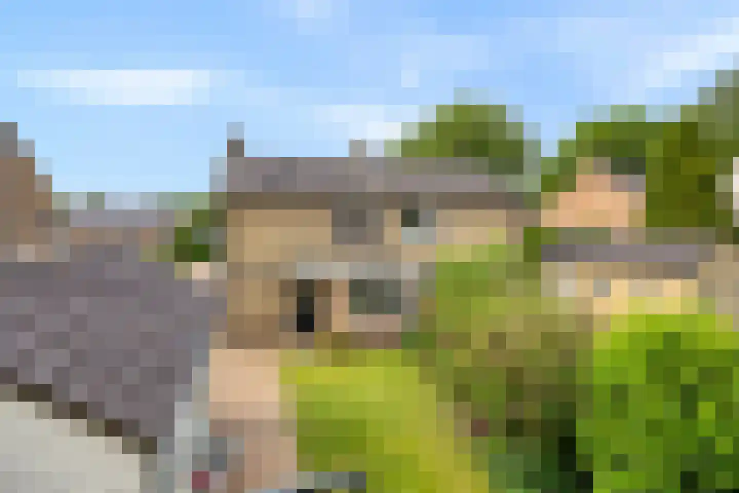 Leenakkersweg 9 Zuidlaren thumbnail 37