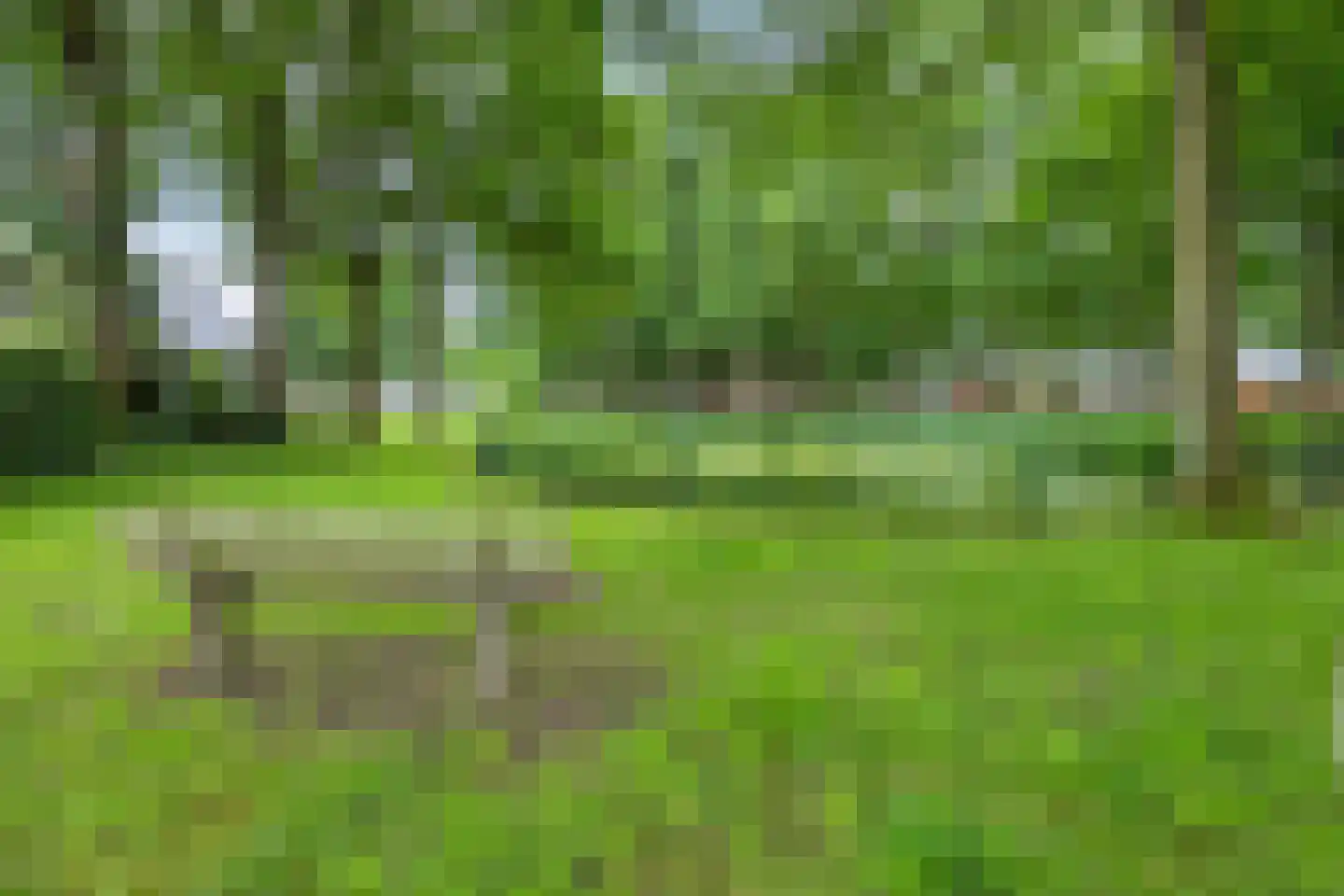 Leenakkersweg 9 Zuidlaren thumbnail 41