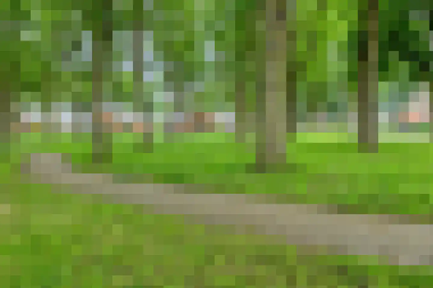 Leenakkersweg 9 Zuidlaren thumbnail 42