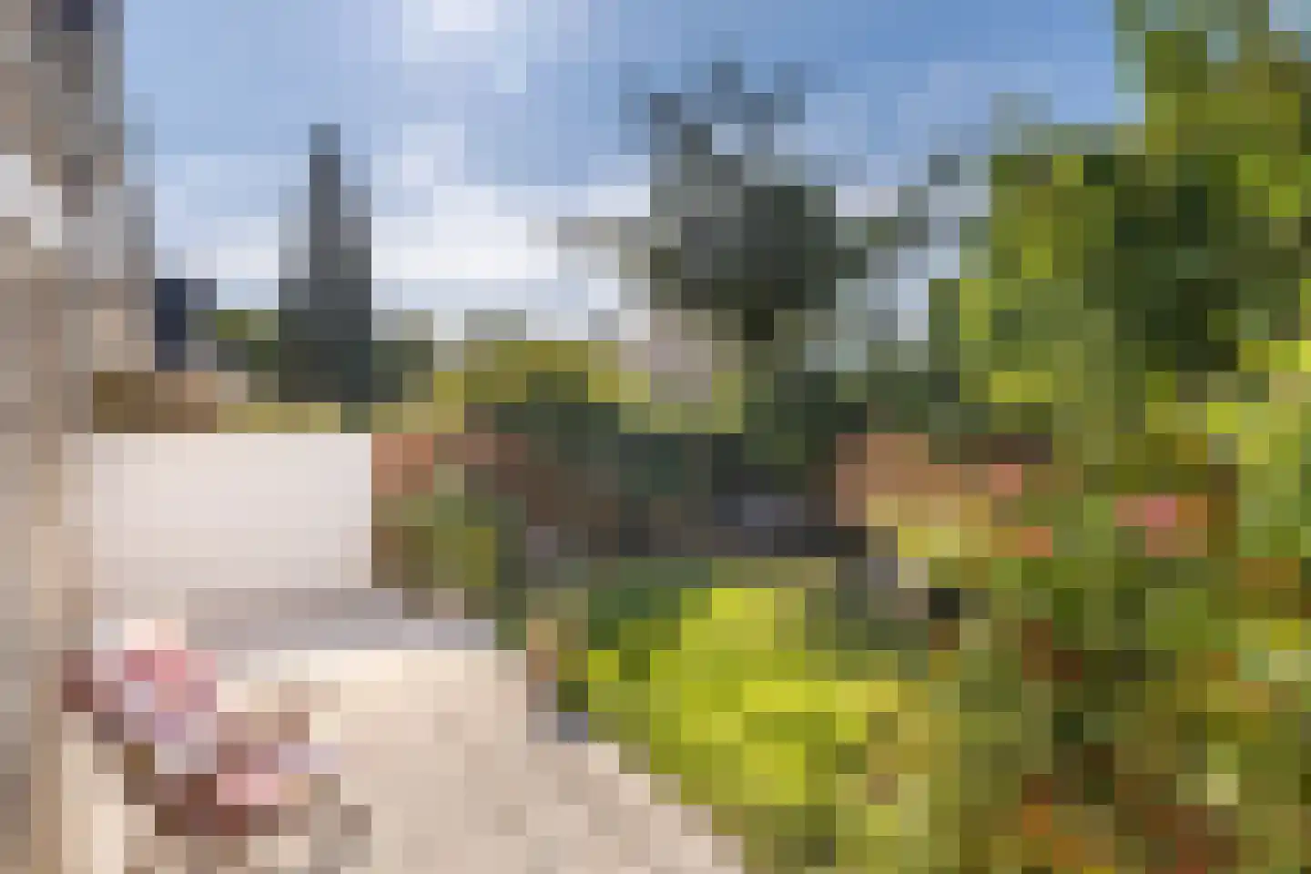 Leenderbos 28 Purmerend thumbnail 34