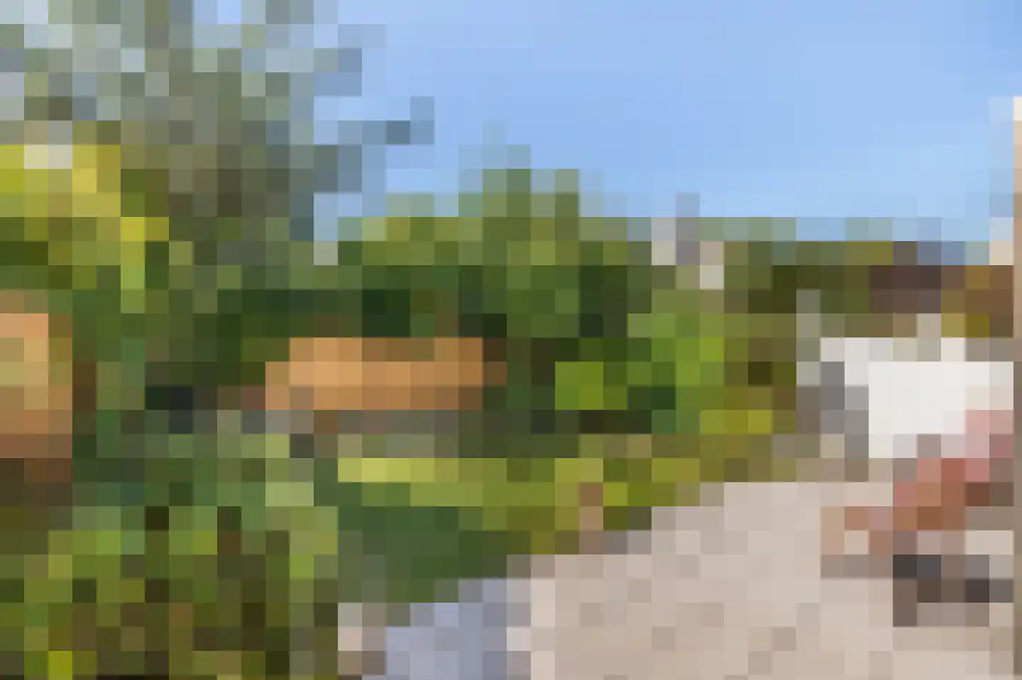 Leenderbos 28 Purmerend thumbnail 35