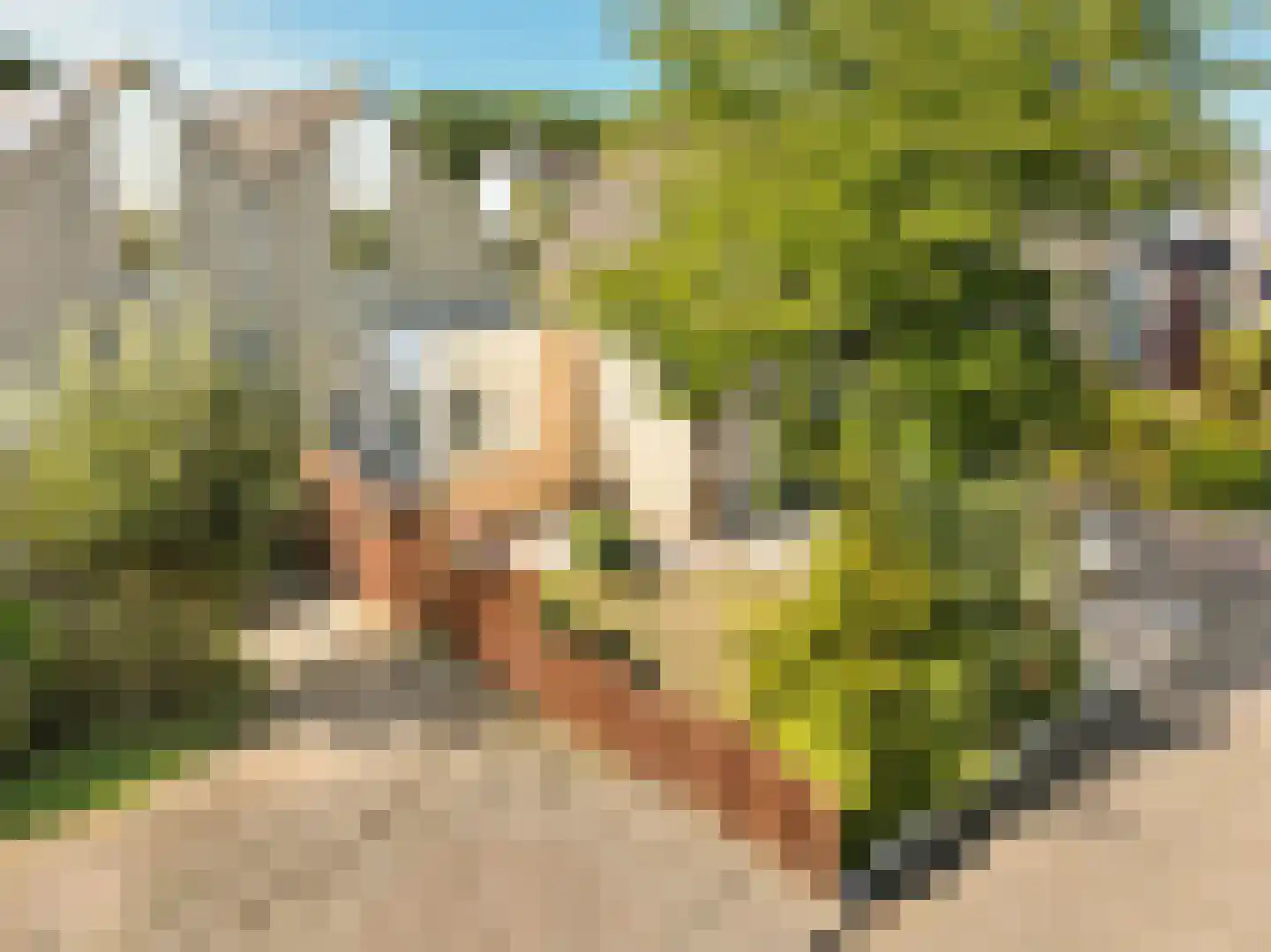 Leenderbos 28 Purmerend thumbnail 39