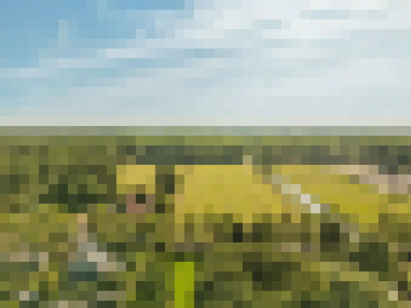 Leenderbos 28 Purmerend thumbnail 43