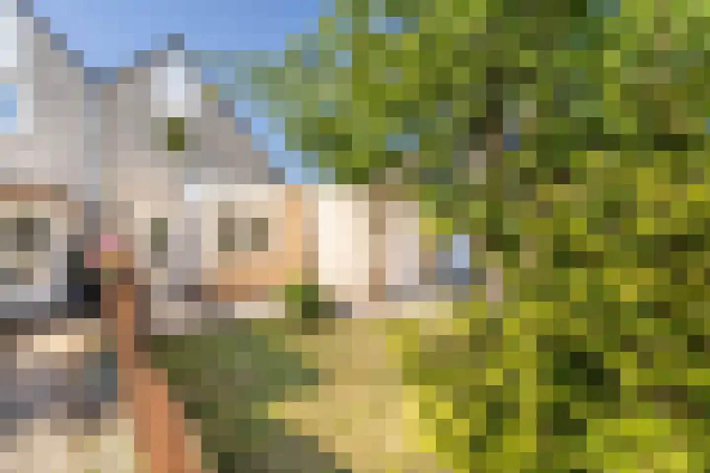 Leenderbos 28 Purmerend thumbnail 5