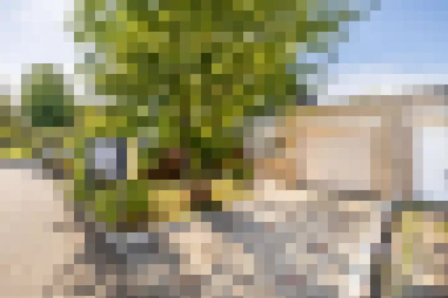 Leenderbos 28 Purmerend thumbnail 6