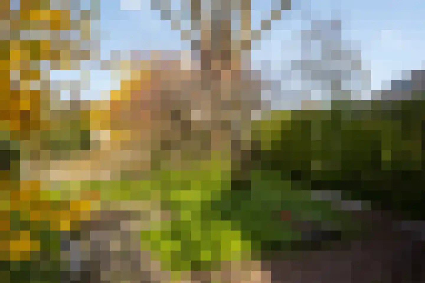 Leenderbos 54 Purmerend thumbnail 42