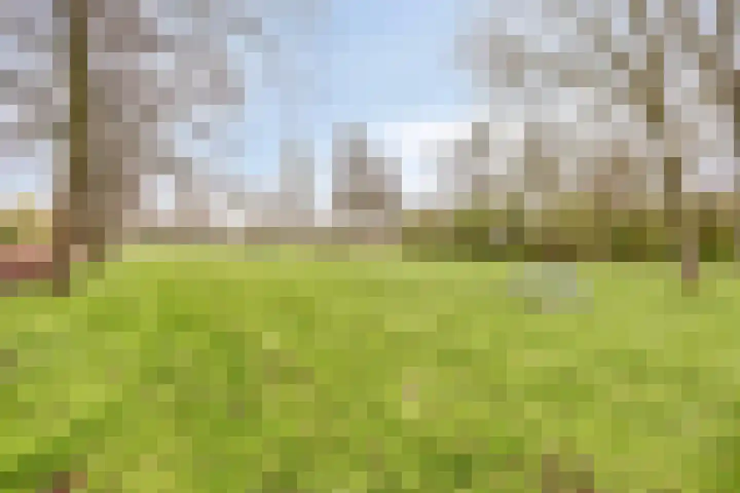Leenderbos 54 Purmerend thumbnail 47