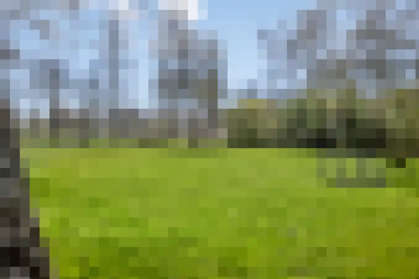 Leenderbos 54 Purmerend thumbnail 49
