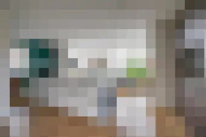 Leenderboslaan 16 Vleuten thumbnail 15