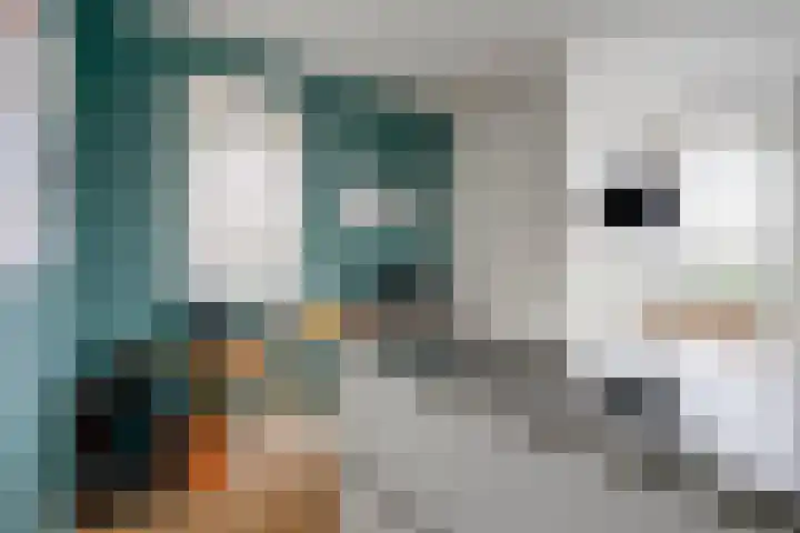 Leenderboslaan 16 Vleuten thumbnail 19