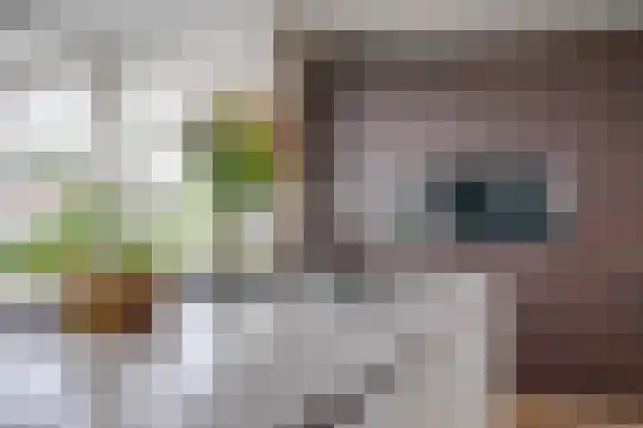 Leenderboslaan 16 Vleuten thumbnail 21