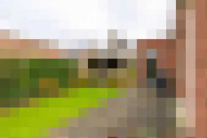 Leenderboslaan 16 Vleuten thumbnail 23