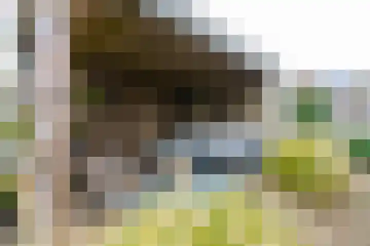 Leenderboslaan 16 Vleuten thumbnail 24