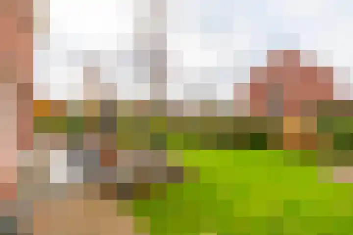 Leenderboslaan 16 Vleuten thumbnail 26