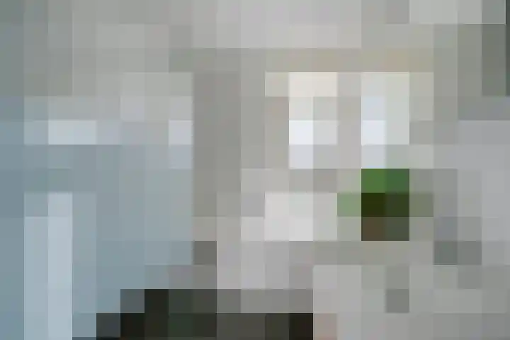Leenderboslaan 16 Vleuten thumbnail 38