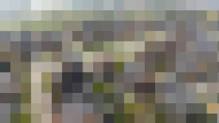 Leenderboslaan 16 Vleuten thumbnail 59