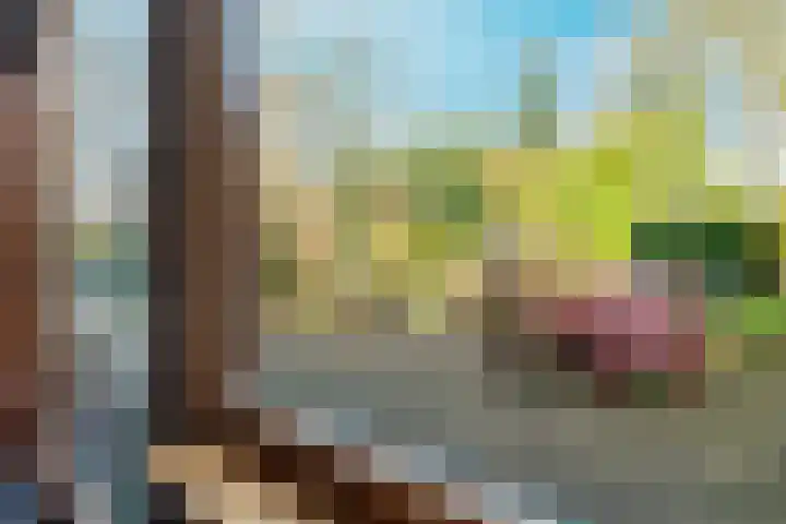 Leenderkapelweg 8 Landgraaf thumbnail 36