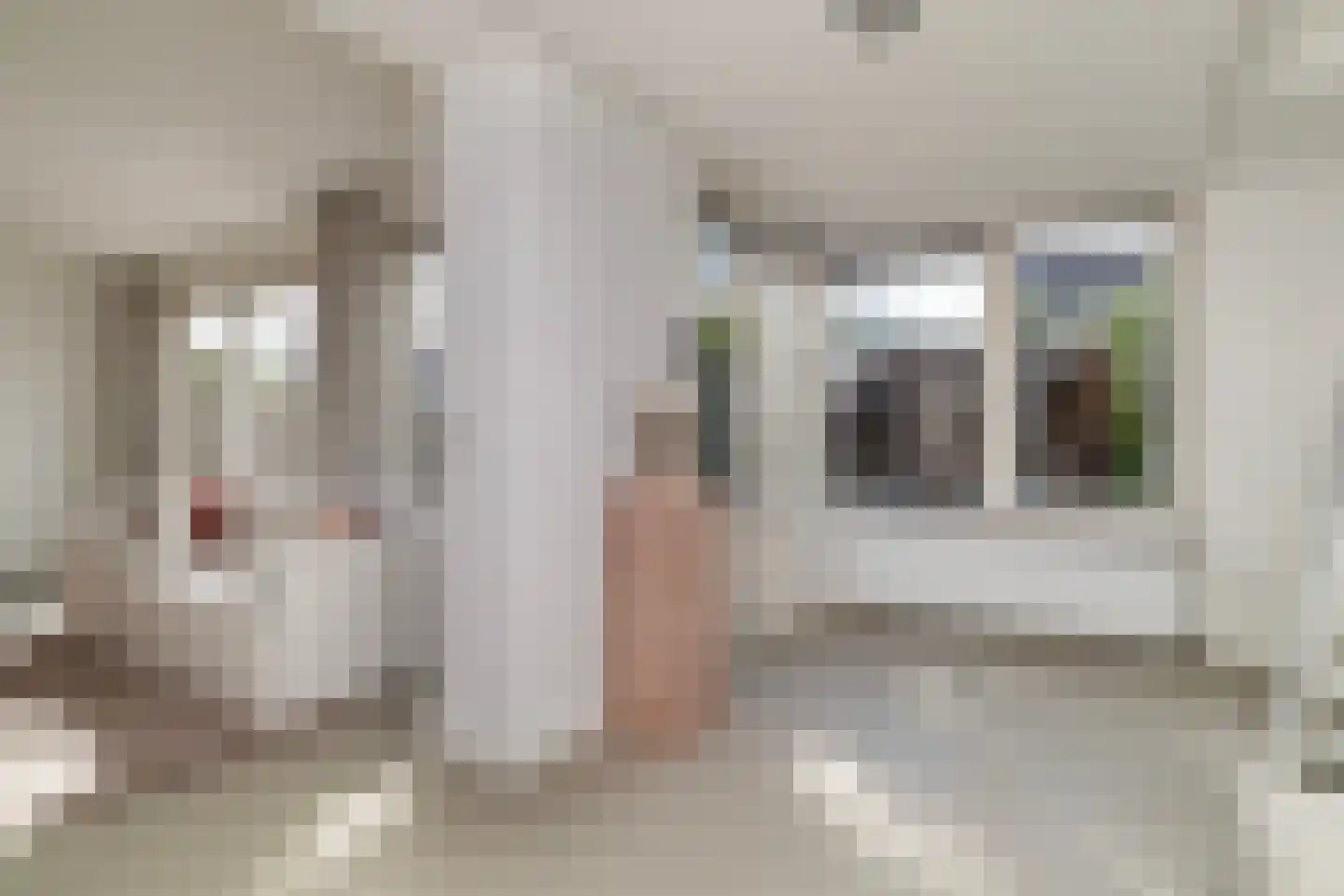 Leendert Butterstraat 20 Rotterdam thumbnail 10
