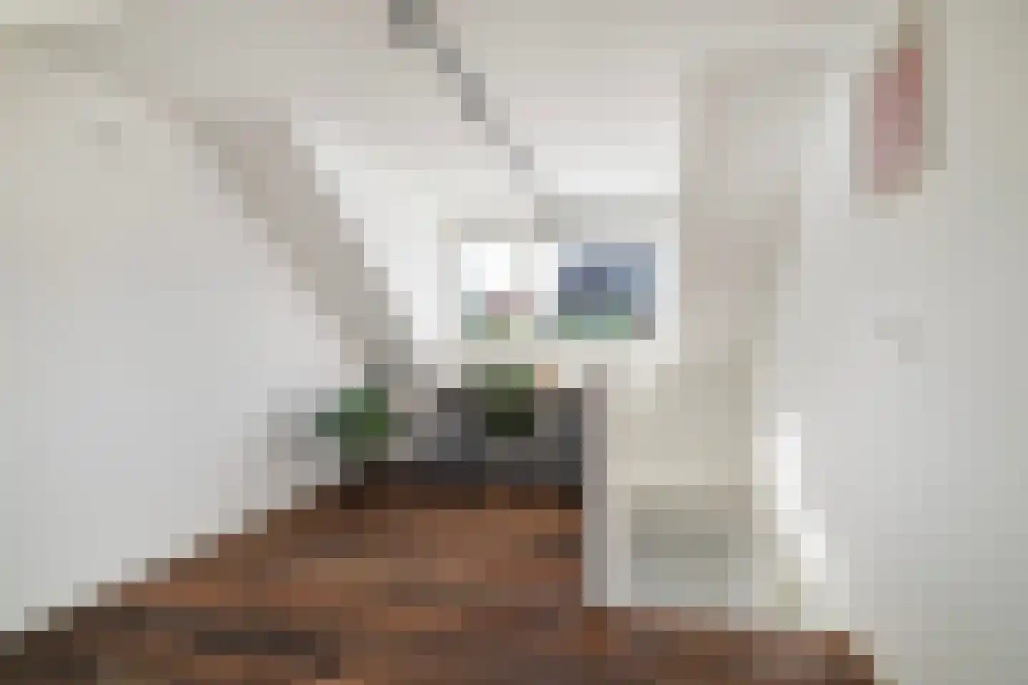Leendert Butterstraat 20 Rotterdam thumbnail 12