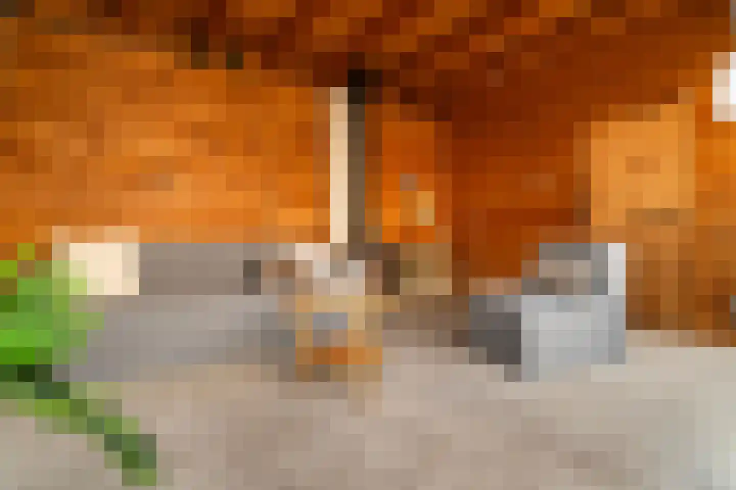 Leendert Butterstraat 20 Rotterdam thumbnail 18