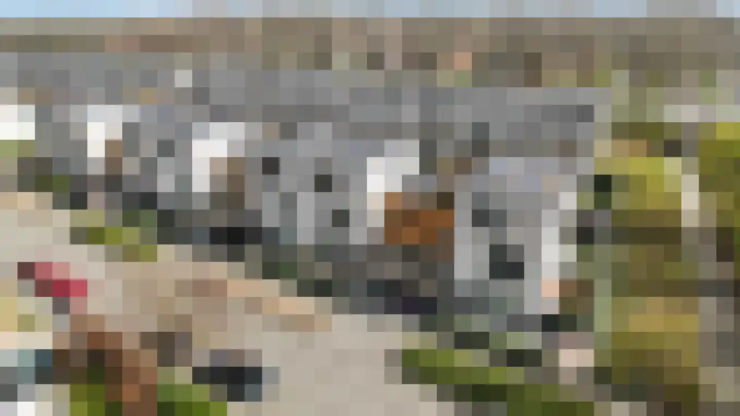 Leendert Butterstraat 5 Rotterdam thumbnail 50