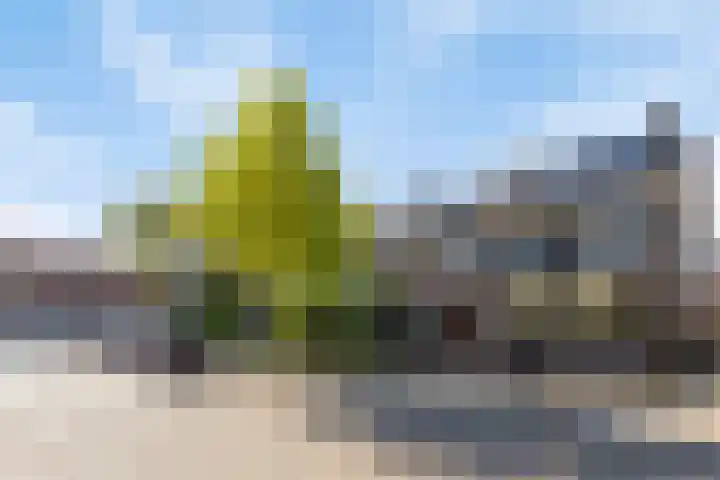 Leendert Donkerstraat 7 Eindhoven thumbnail 5