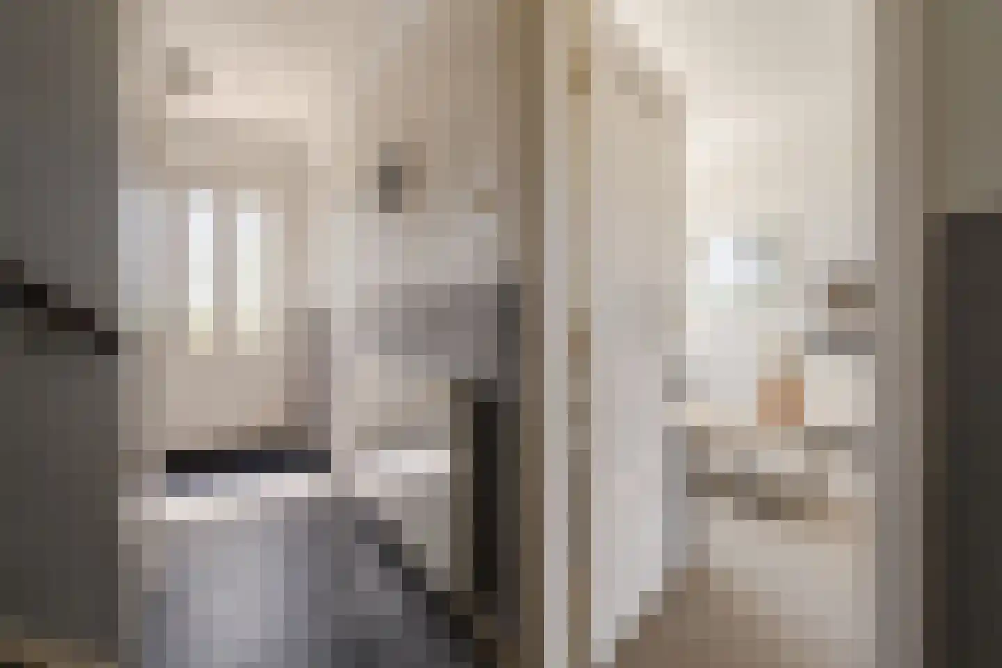 Leendert Meeszstraat 62 Haarlem thumbnail 11