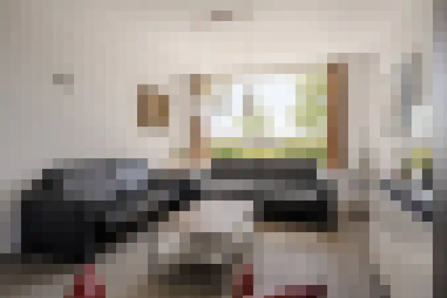 Leendert Meeszstraat 62 Haarlem thumbnail 14