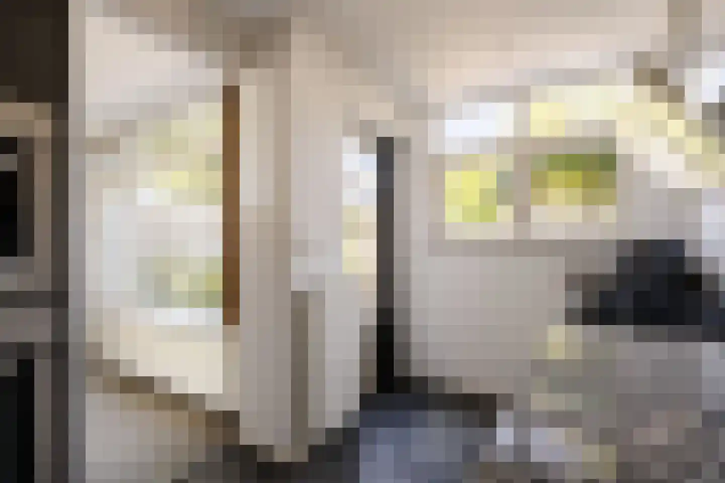 Leendert Meeszstraat 62 Haarlem thumbnail 23