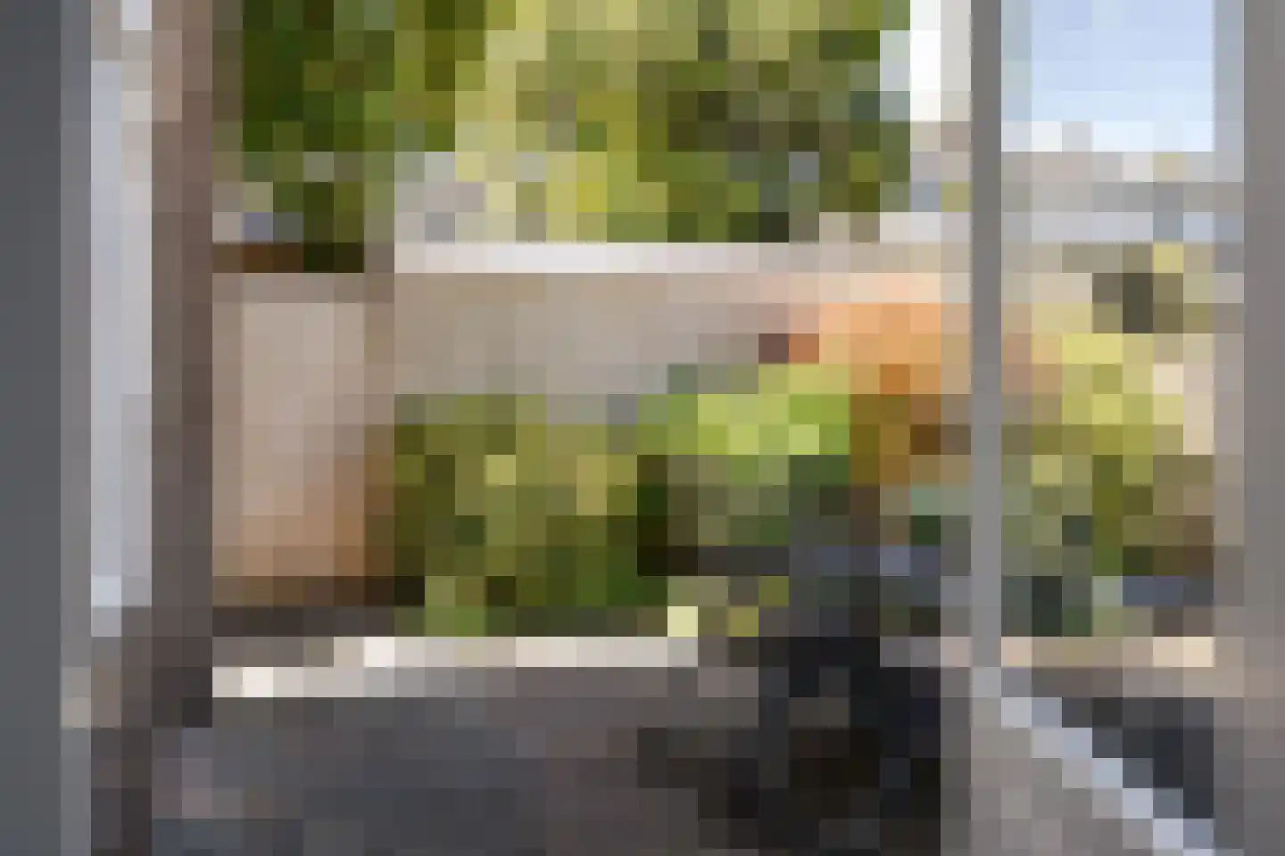 Leendert Meeszstraat 62 Haarlem thumbnail 24