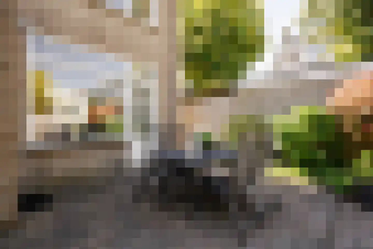 Leendert Meeszstraat 62 Haarlem thumbnail 27