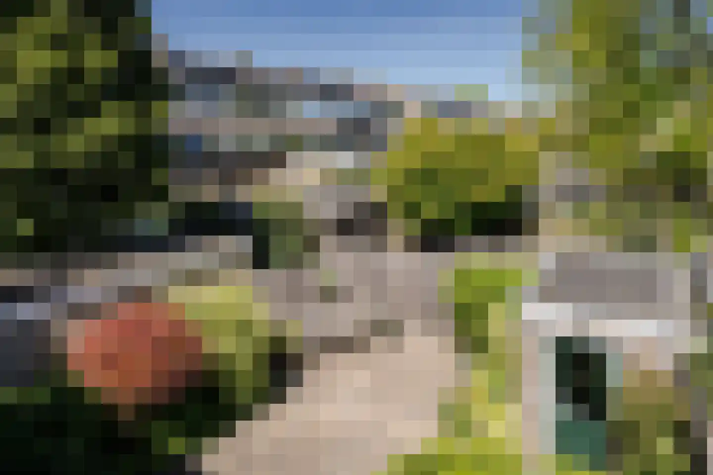 Leendert Meeszstraat 62 Haarlem thumbnail 47