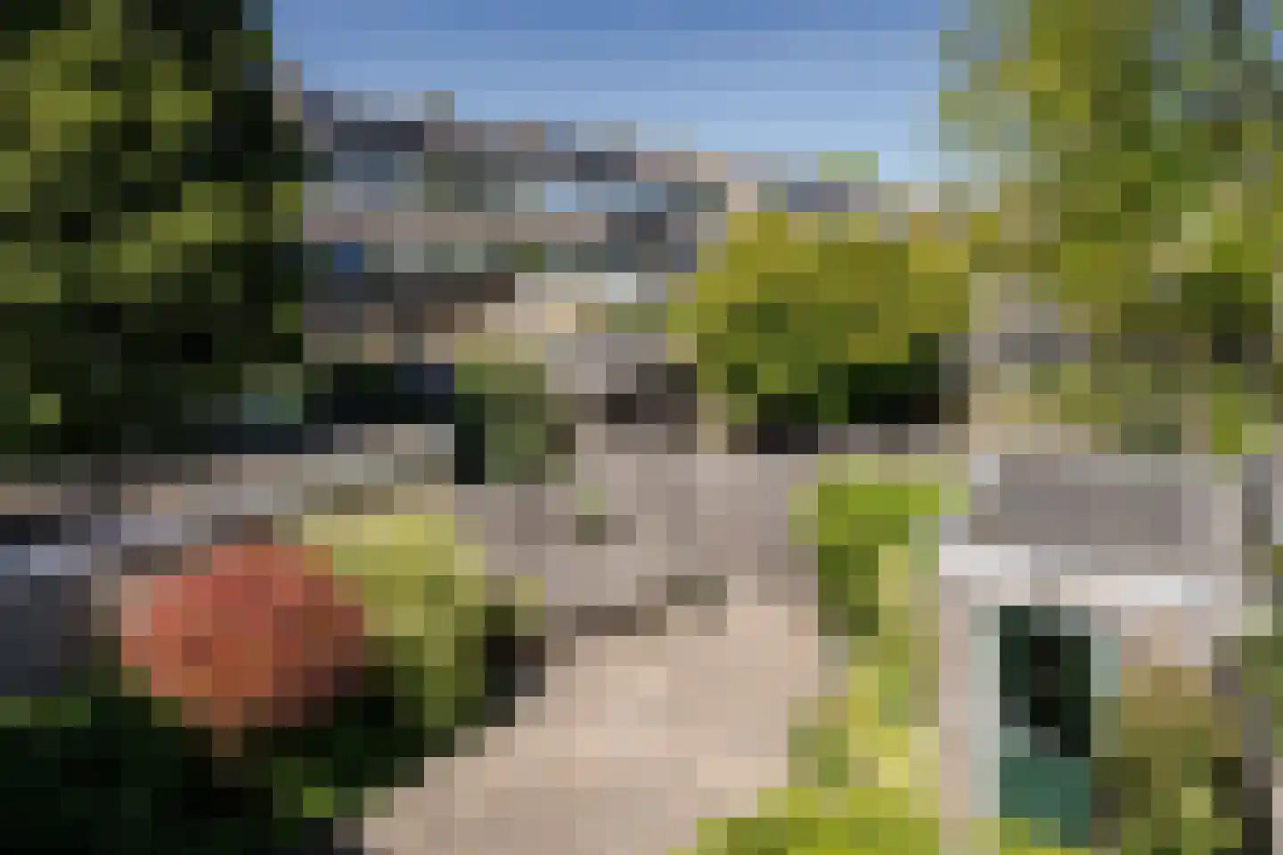 Leendert Meeszstraat 62 Haarlem thumbnail 47