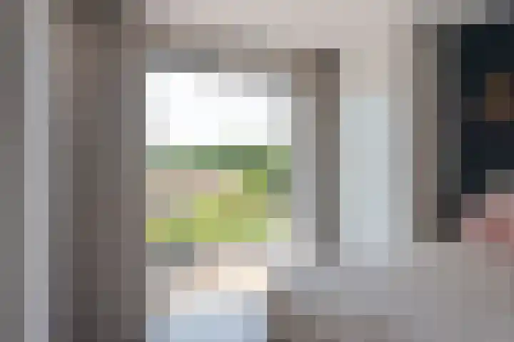Leendert Meeszstraat 92 Haarlem thumbnail 36