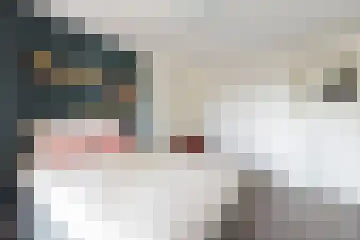 Leendert Meeszstraat 92 Haarlem thumbnail 38