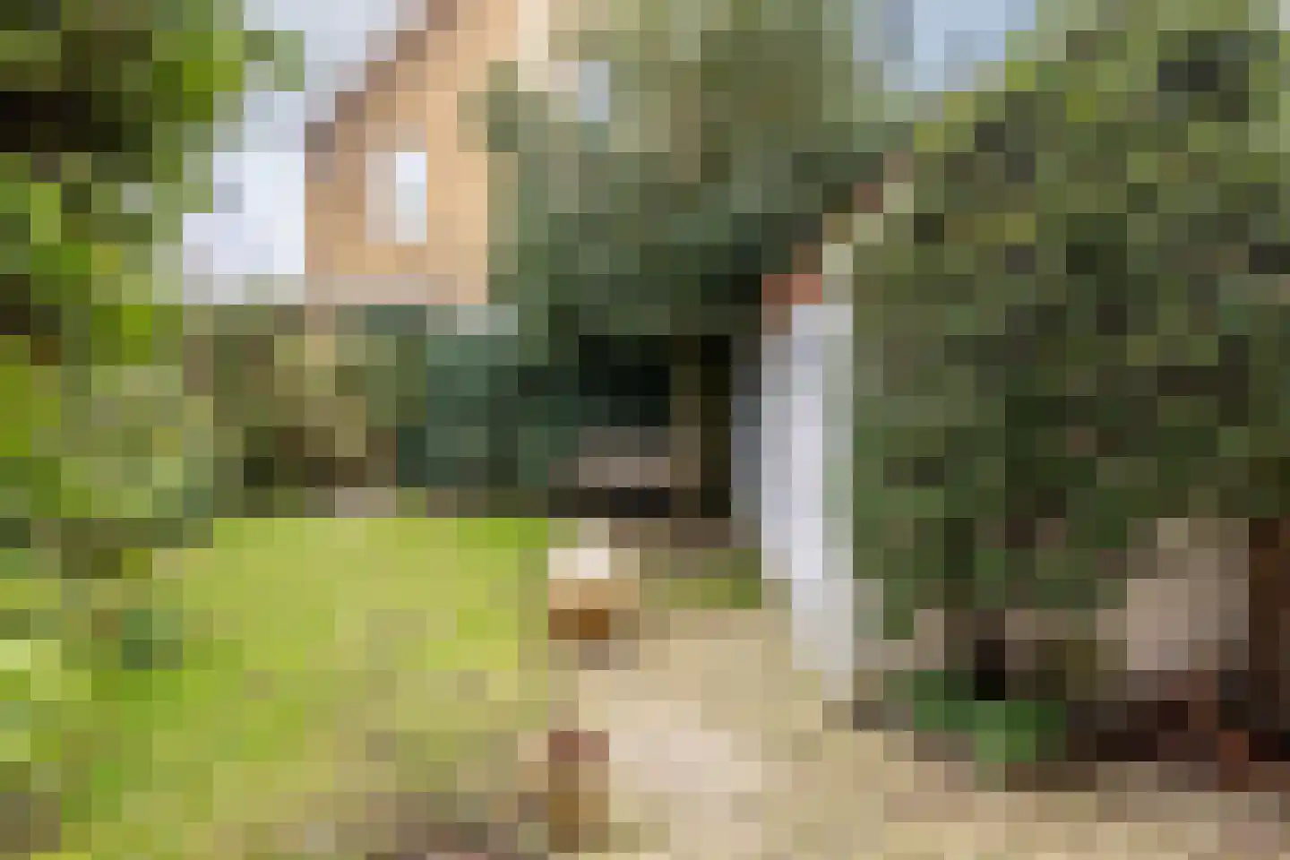 Leendert Meeszstraat 98 Haarlem thumbnail 14