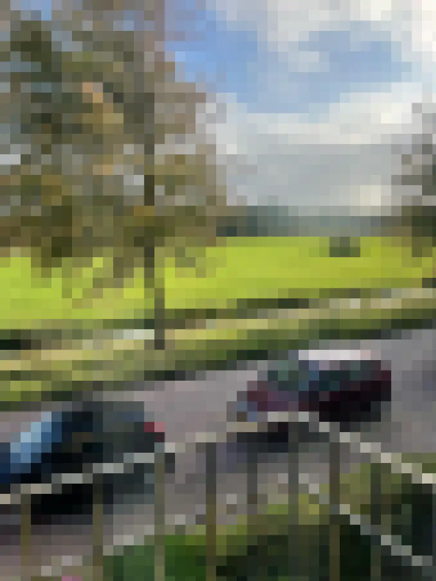 Leendert Meeszstraat 98 Haarlem thumbnail 38