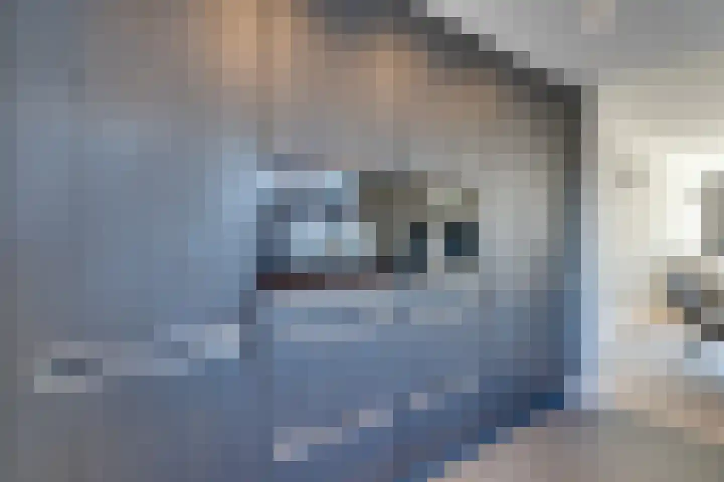 Leendert Spaanderlaan 24 Volendam thumbnail 22