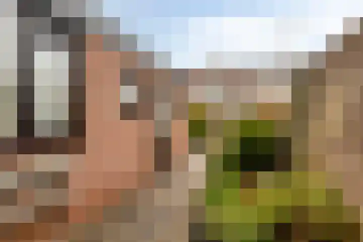 Leendert Spaanderlaan 63 Volendam thumbnail 16
