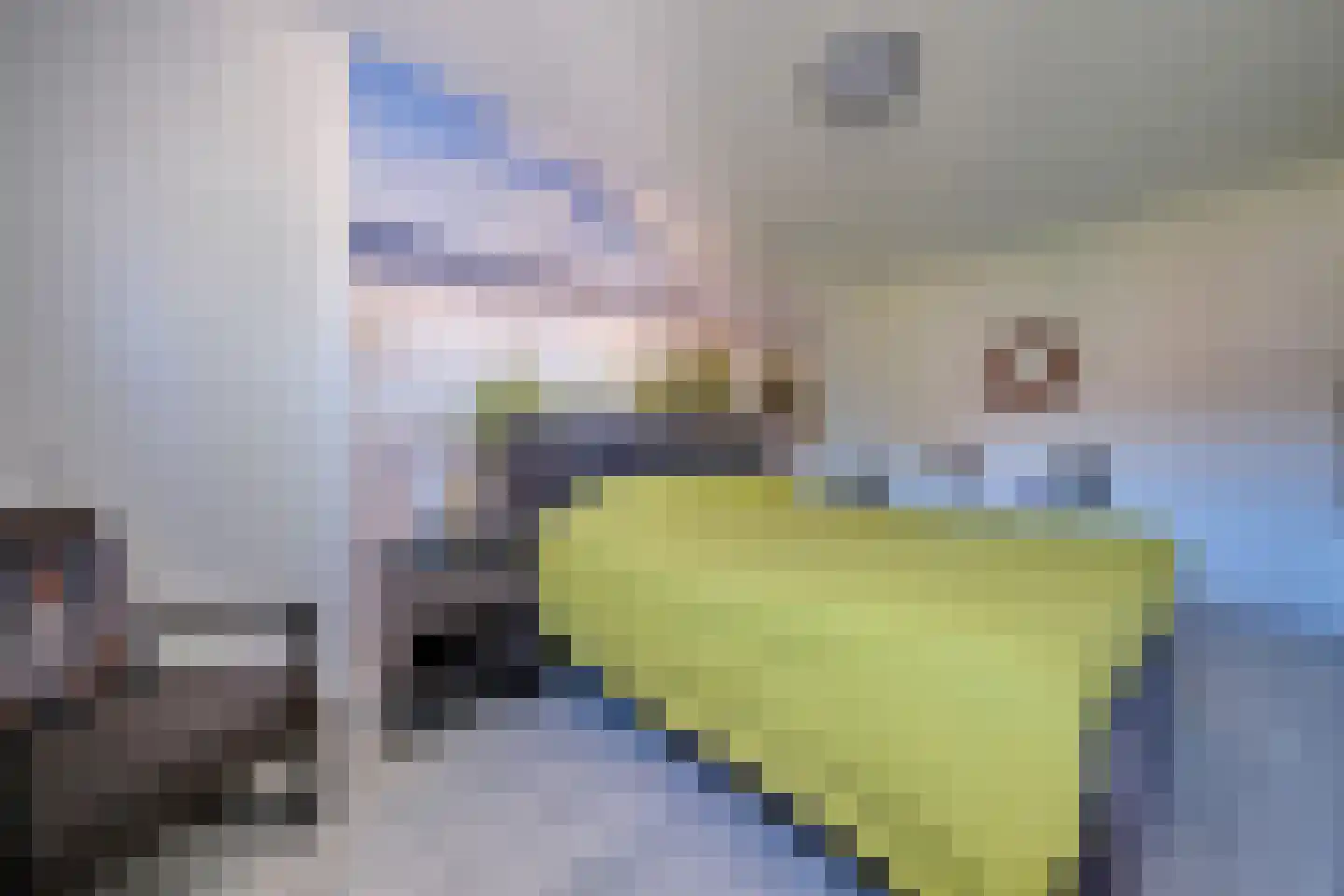 Leendert Tulplaan 11 Ede thumbnail 13