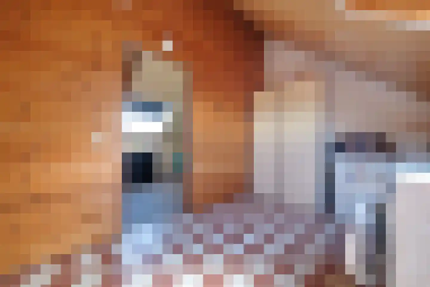 Leendert Tulplaan 11 Ede thumbnail 19